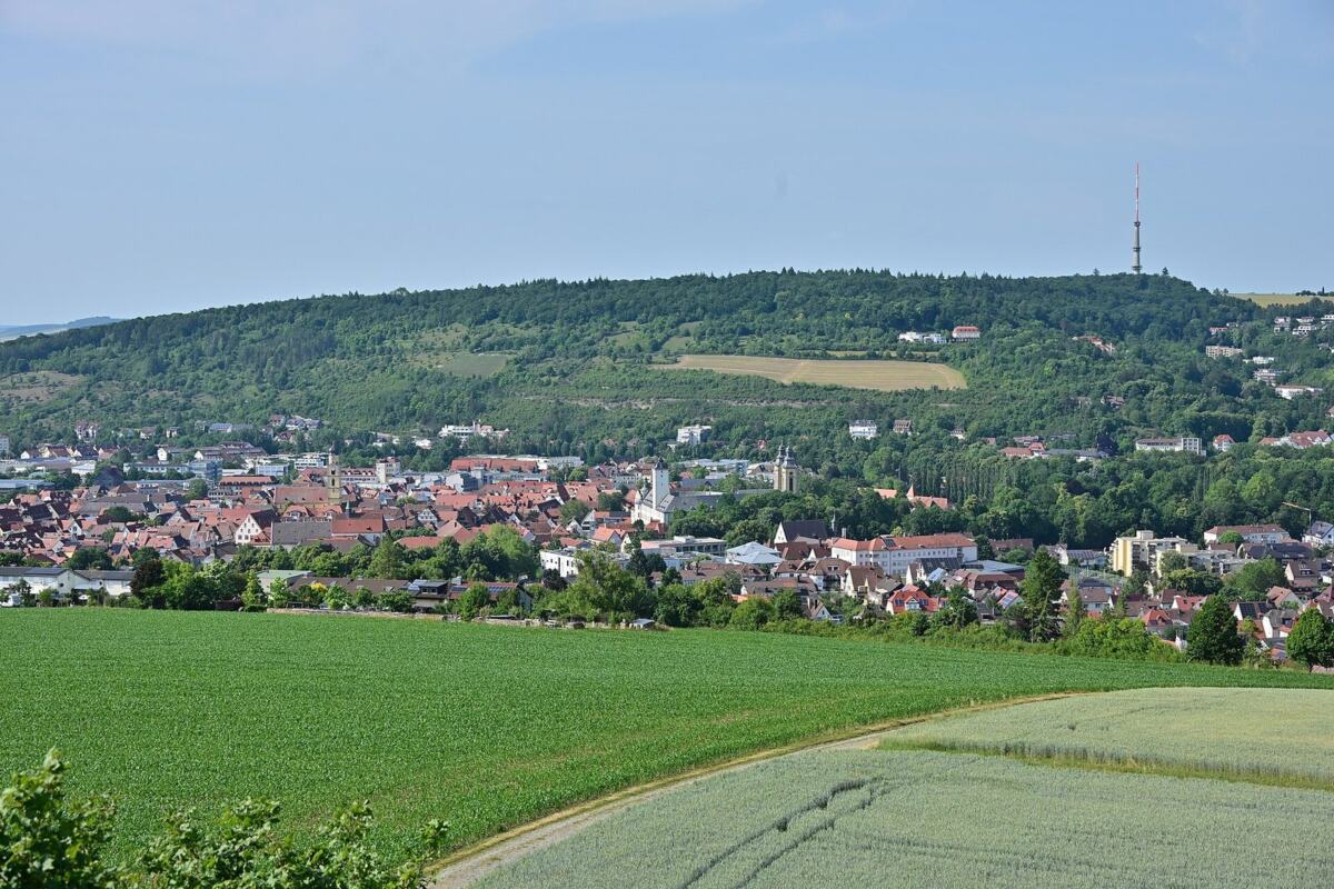 Bad Mergentheim Blick vom Wartturm