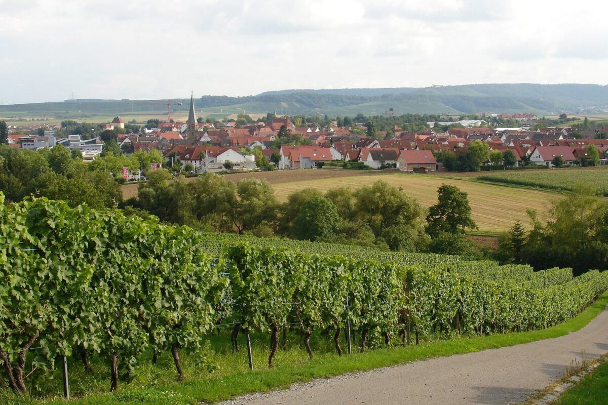 Brackenheim