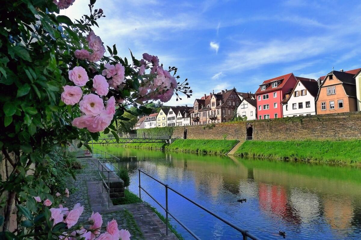 Wertheim, Spaziergang entlang der Tauber.